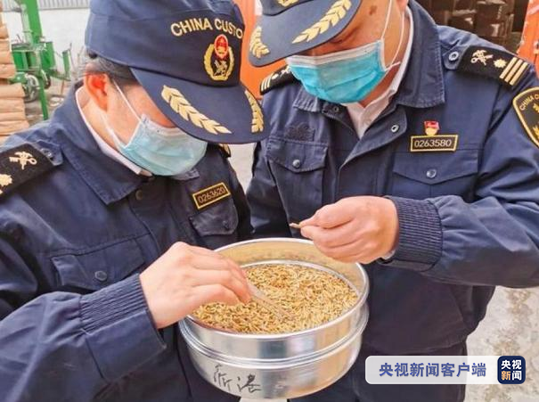 国际物流 国际货运代理 货运代理公司 航空国际货运 海空联运 多式联运