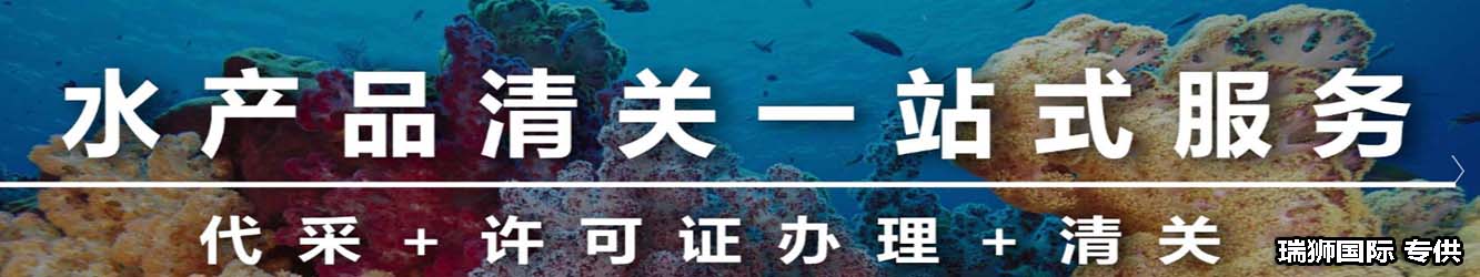 退单提示不允许异地报关，如何处理? 以及如何正常报关，防止被海关退单？