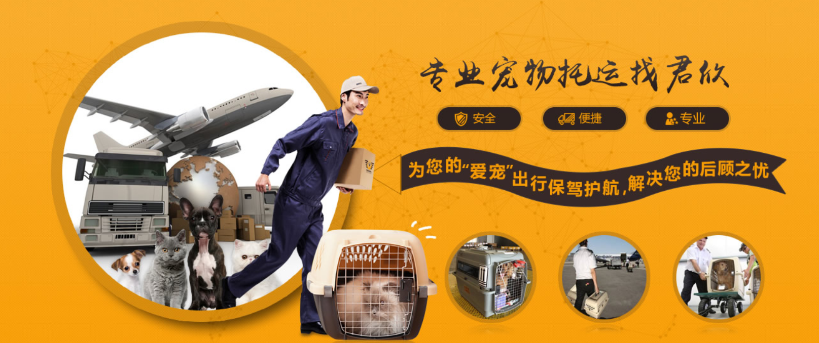 加拿大国际宠物托运手续和托运流程及注意事项