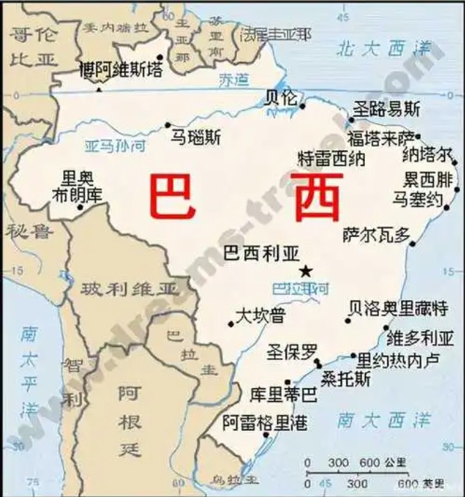 巴西货货运代理 巴西国际物流公司  巴西进出口报关公司 巴西国际货运代理有限公司