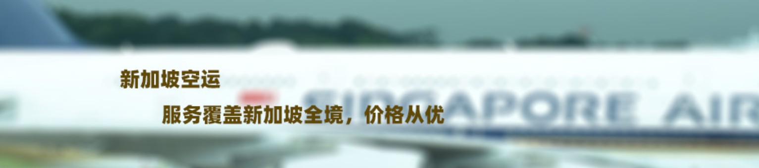 新加坡货运代理 新加坡物流公司 新加坡亚马逊FBA头程海运 新加坡空运专线国际物流有限公司