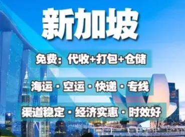 新加坡货货运代理 新加坡国际物流公司  新加坡进出口报关公司 新加坡国际货运代理有限公司