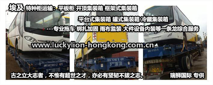 埃及货货运代理 埃及国际物流公司  埃及进出口报关公司 埃及国际货运代理有限公司