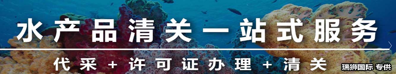 买单报关和代理报关的区别、买单报关和代理报关价格、买单和代理报关的区别、报关买单、买单报关有报关单  吗、报关行买单报关、什么叫买单报关、代理报关的报关单、有单证报关和买单报关、报关单购买、为什么需要代理公司进行报关自行报关和代理报关买单报关和单证报关的区别、自主报关和代理报关的区别、买单报关和正常报关的区别、代理报关服务属于什么服务、代理报关、报关和买单的区别、代理报关和买单报关费用是一样的吗、买单报关和退税报关的区别、买单报关和代理报关的区别、单独报关和买单报关、买单报关需要提供什么给货代、买单报关和单独报关的区别、报关买单、代理报关公司